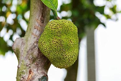 国产独立游戏《寻宝浪客：念》10月29日发售 试玩版已上线